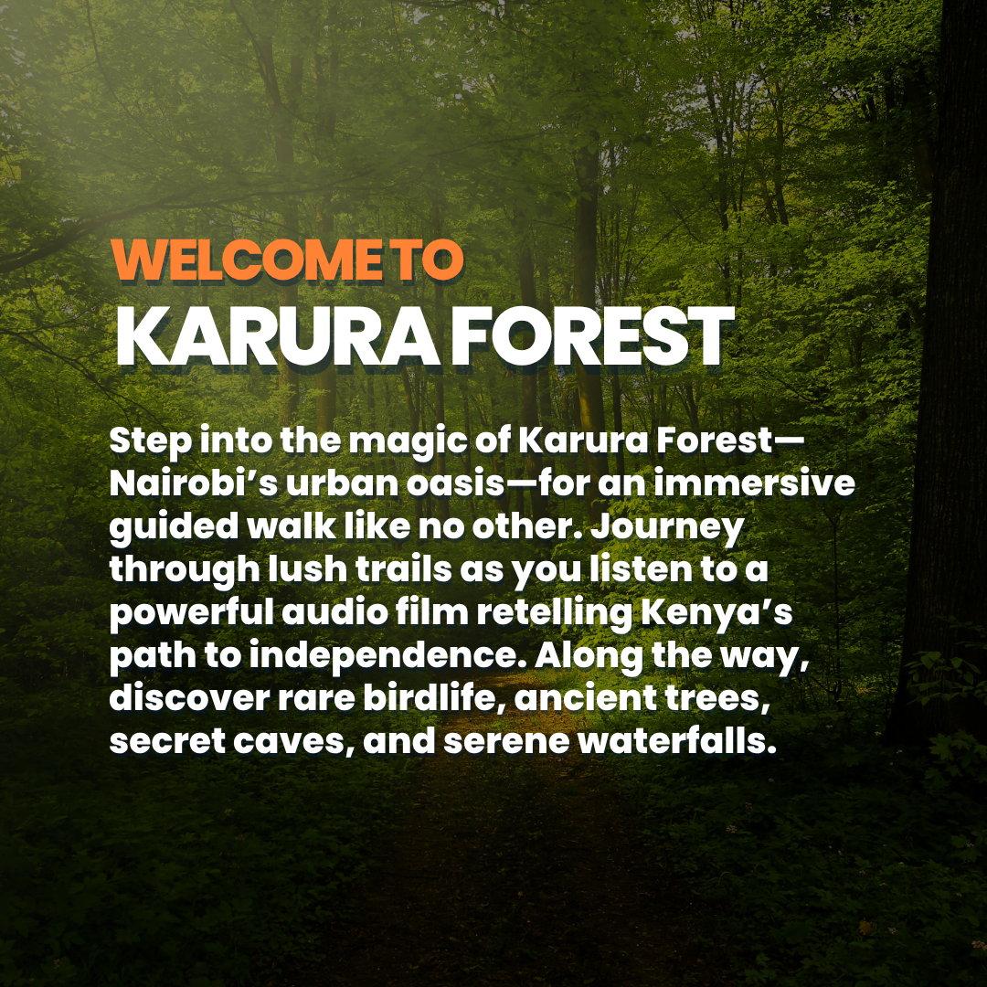 Cinema in Nature -  A Magical Kenya Signature Experience