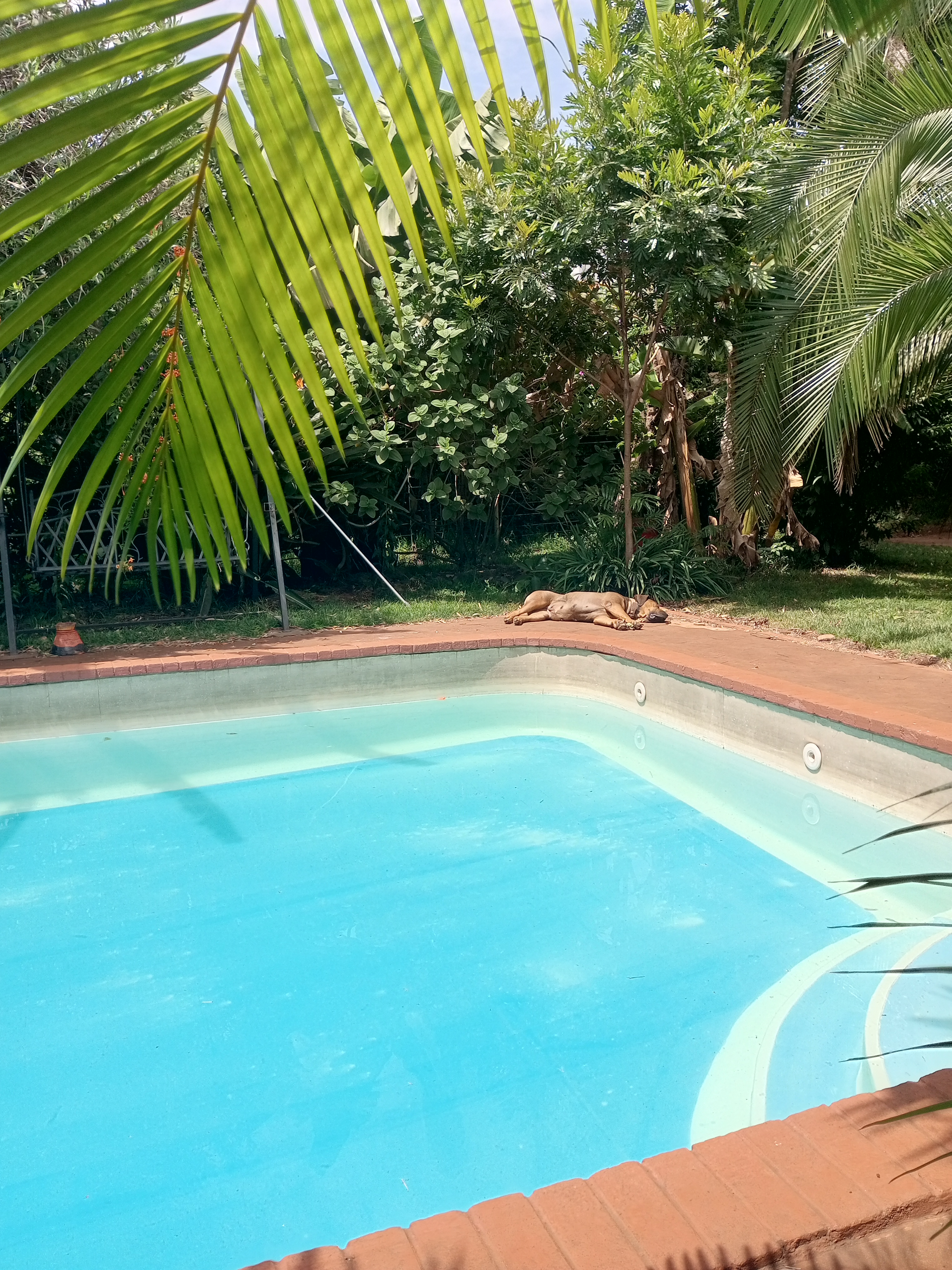 Kenyan Summer