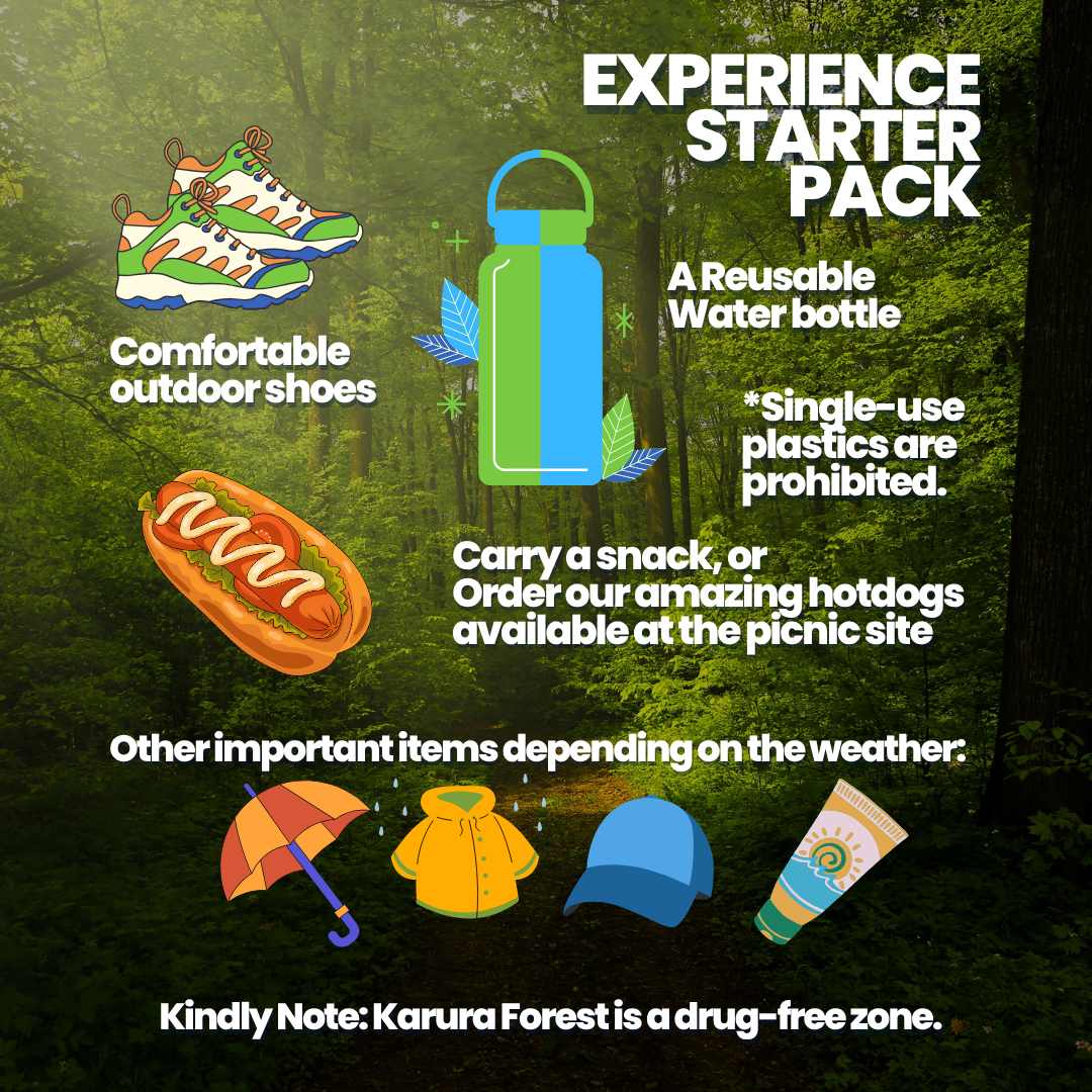 Cinema in Nature -  A Magical Kenya Signature Experience