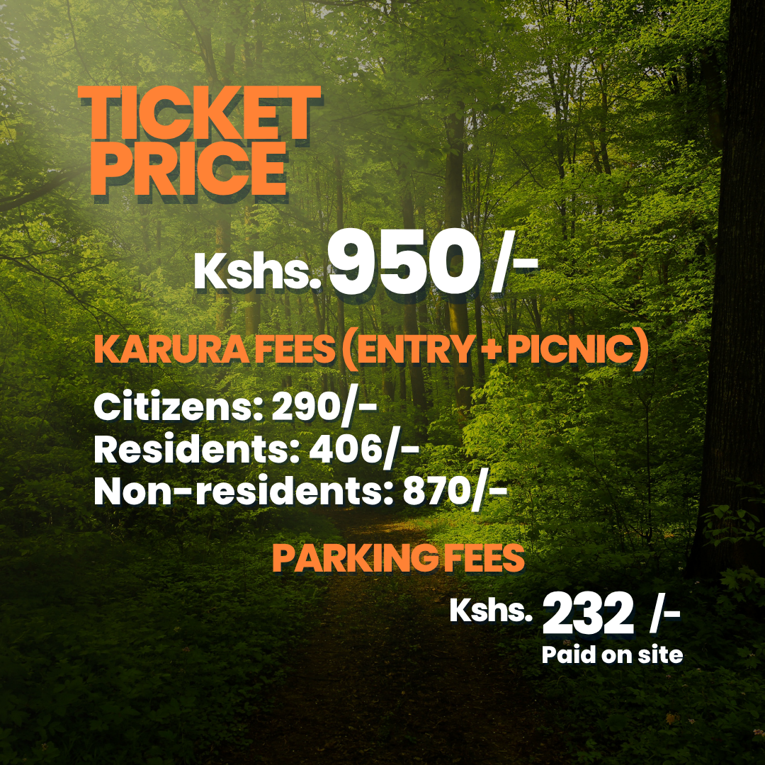 Cinema in Nature -  A Magical Kenya Signature Experience